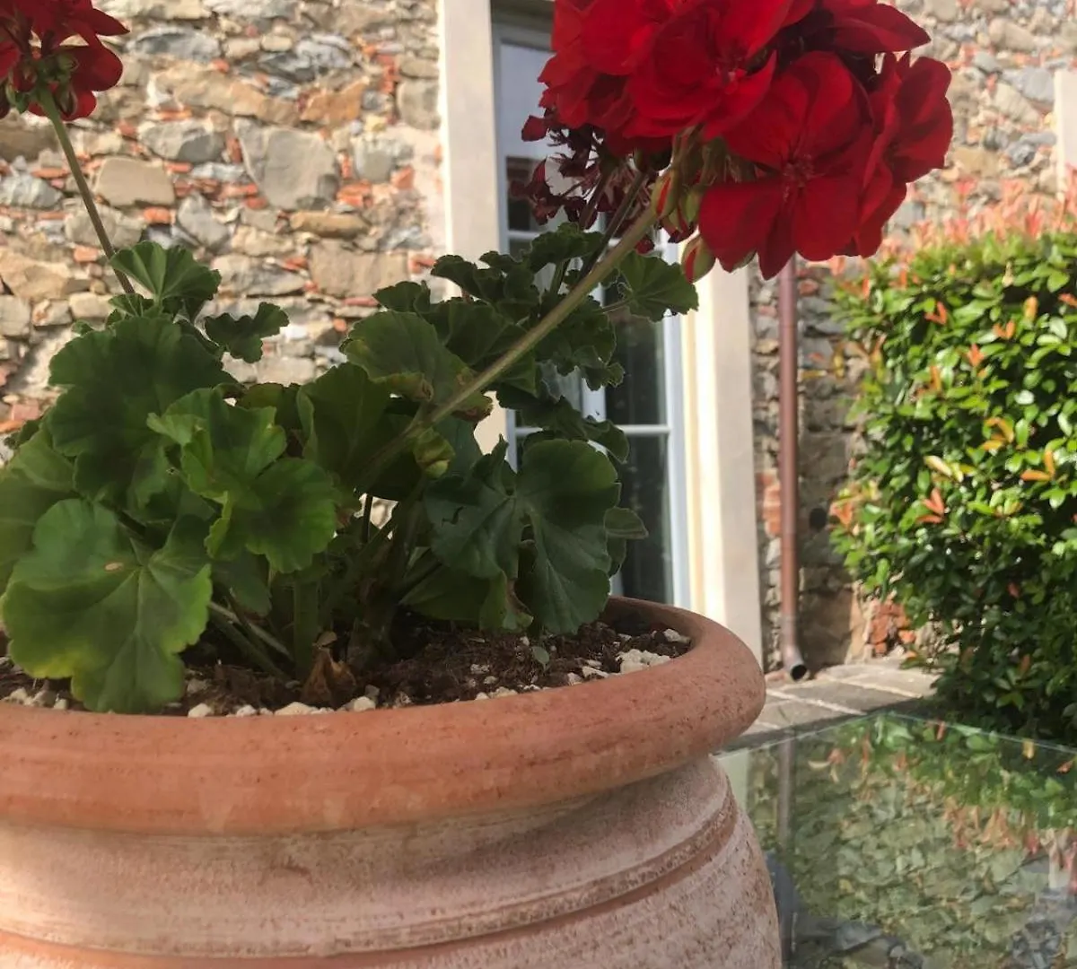 Antico Borgo di Matraia - Villa Guinigi Lucca Aparthotel